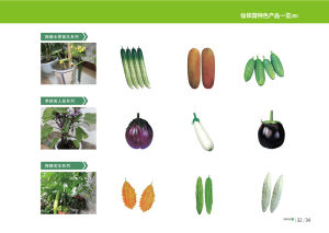 功效特色產品一覽