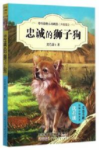 忠誠的獅子狗 忠誠的獅子狗