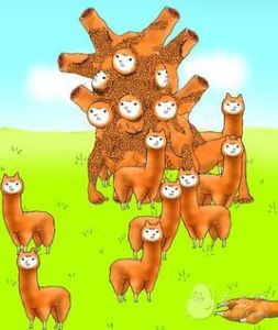 兄貴草泥馬 兄貴草泥馬