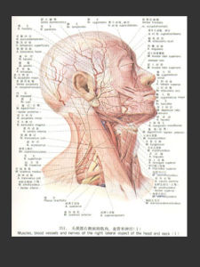 高同型半胱氨酸血症