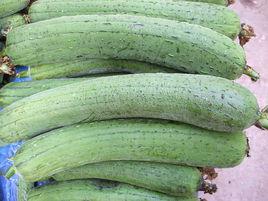 短度水瓜 短度水瓜