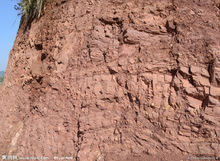 仰韶文化層 仰韶文化層