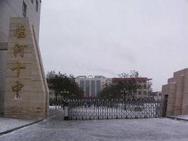 臨河十中 臨河十中