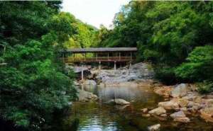 江西清涼山國家森林公園 江西清涼山國家森林公園