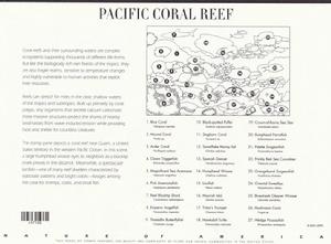 太平洋珊瑚礁（背面）