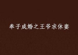 奉子成婚之王爺求休妻 奉子成婚之王爺求休妻