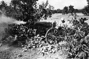 （圖）中國駐印軍