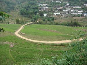 （圖）交通道路