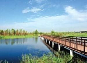 黃河濕地公園 黃河濕地公園