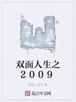 雙面人生之2009 雙面人生之2009
