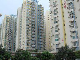 鵬興花園五期 鵬興花園五期