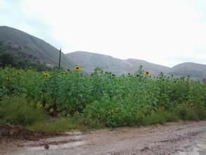 武峁子鄉 武峁子鄉