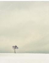 你好,林先生 你好,林先生