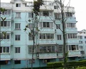 園東新村 園東新村