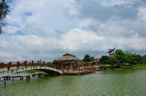 七星崗公園 七星崗公園