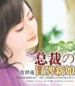 總裁的冒牌新娘 總裁的冒牌新娘