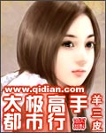 《太極高手都市行》