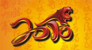 2010虎年