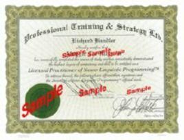 NLP執行師 NLP執行師