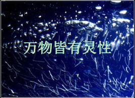 萬物皆有靈性