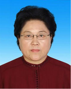 艾麗華[內蒙古烏蘭察布市委副書記、市長]