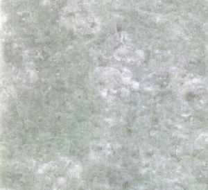 綠寶-正切 綠寶-正切