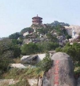 金山松石 金山松石