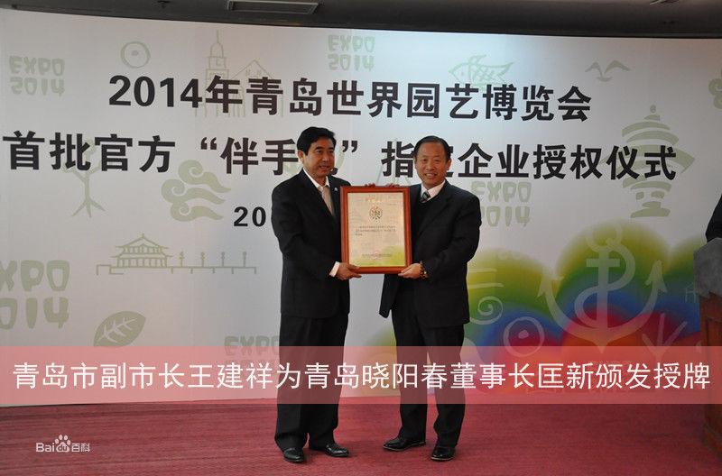 嶗山紅茶曉陽春