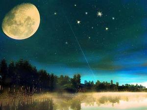 待那花好月圓時 待那花好月圓時