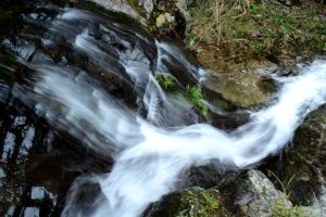 馱嶺古道 馱嶺古道