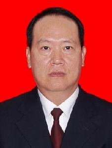 廖東明[廣東省佛山市政協原副主席]