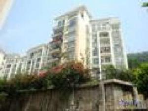 港灣生活小區 港灣生活小區