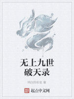 無上九世破天錄 無上九世破天錄