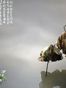 萍水相逢[成語]