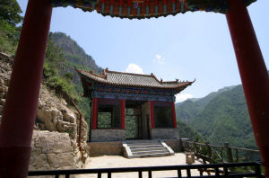 黃芩仙谷 黃芩仙谷