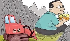 股息紅利收入 股息紅利收入