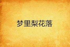 夢裡梨花落[17K小說網小說。]