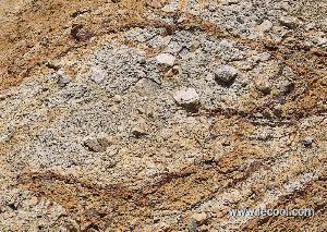 砂質壤土