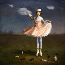 麥琪&middot;泰勒的作品