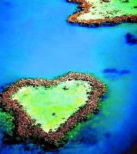 請添加圖片說明