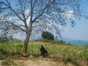 仙水洞自然村 仙水洞自然村