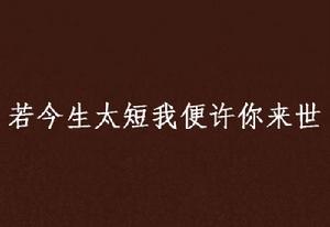 若今生太短我便許你來世 若今生太短我便許你來世