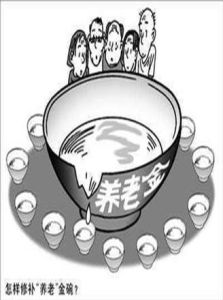 統賬結合 統賬結合