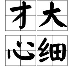 才大心細 才大心細