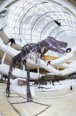 廣東科學中心 廣東科學中心