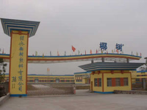 椰樹集團有限公司 椰樹集團有限公司