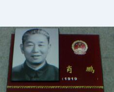 肖鵬[原農牧漁業部副部長]