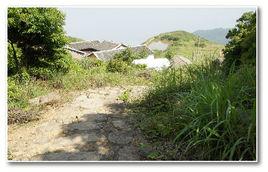 聖井山古道 聖井山古道