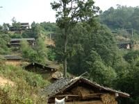 大石頭自然村 大石頭自然村