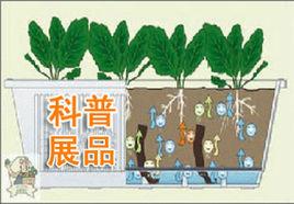 科普展品 科普展品